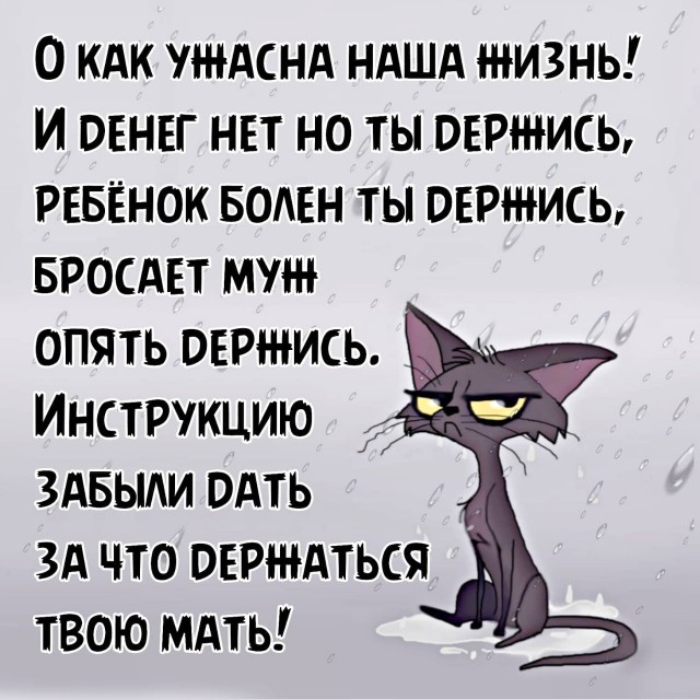Так себе картинки 12.05.22