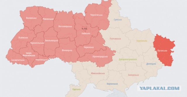 Пандемия съехавших крыш - разновидности болезни. Россия и мир. Часть 38