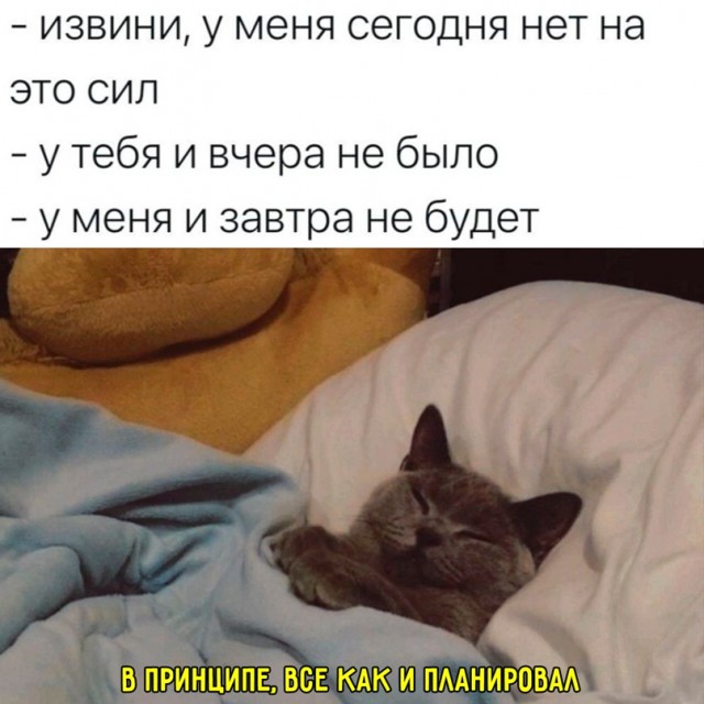 Картинки и мемы для настроения. Выходные рядышком...