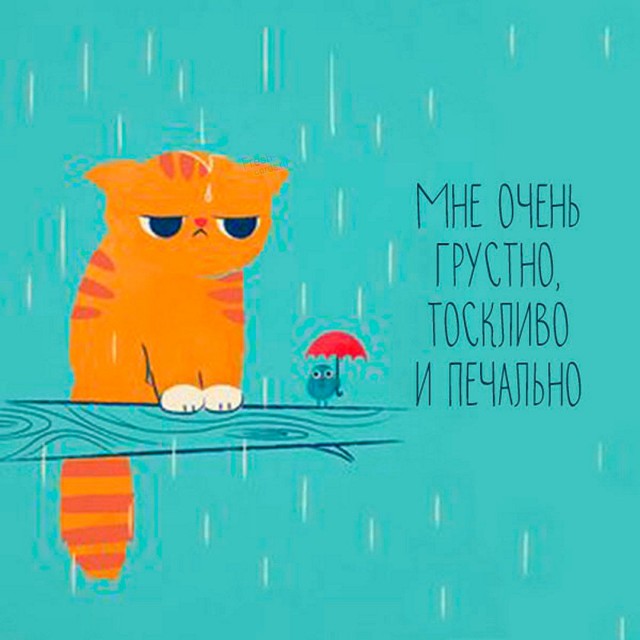 Ушел и не посидел на дорожку