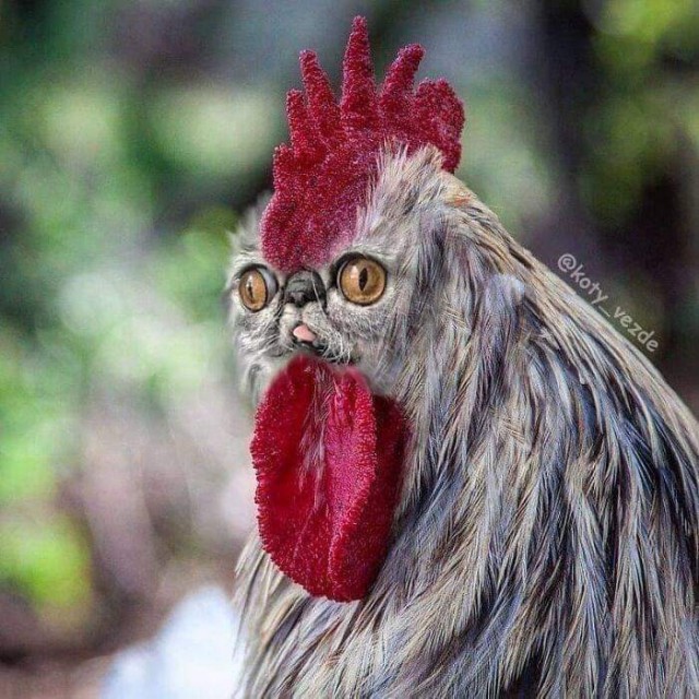 Ищу любовницу для мужа