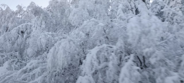 А из нашего окна, вот такая красота