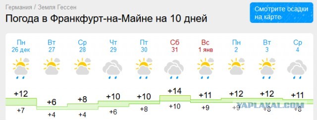 Они стали умнее