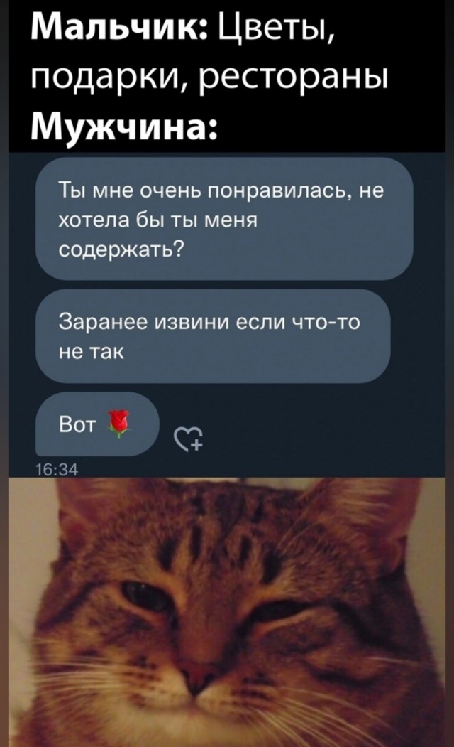 Одинокая женщина желает познакомиться. Часть 2. Свидания.