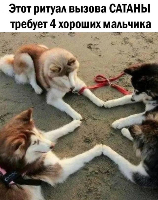Так себе картинки 07.03.23