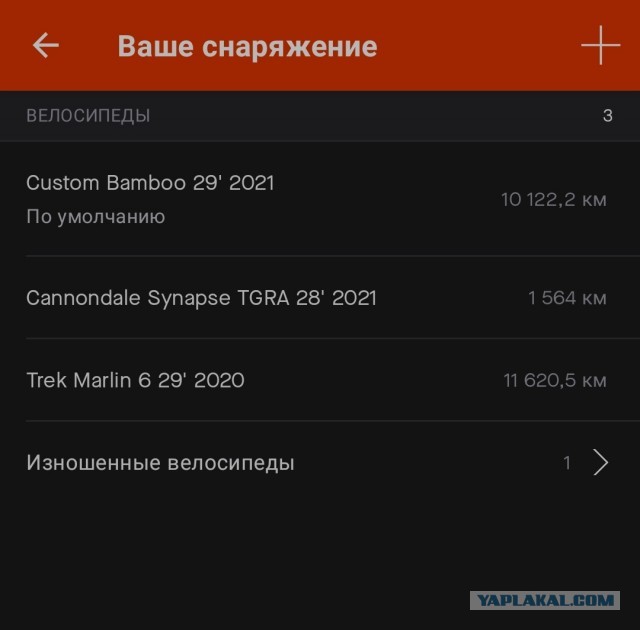 Велосипед с рамой из бамбука. Спустя два года эксплуатации