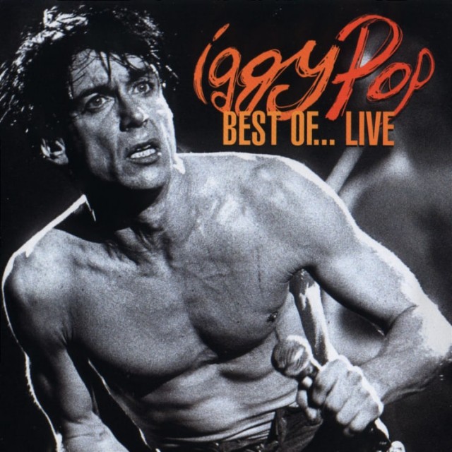 Музыка и музыканты: Iggy Pop «Every Loser»