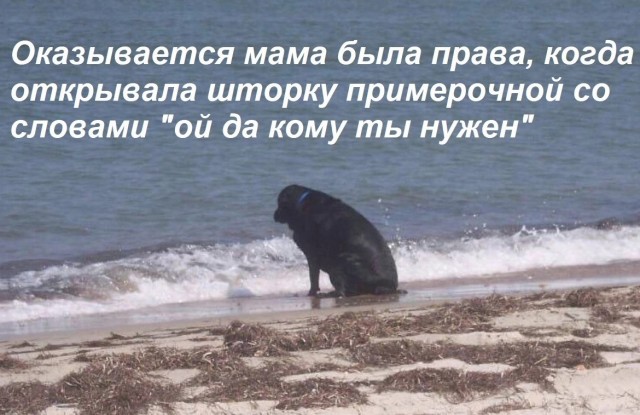 Нуштош 22.03.2023