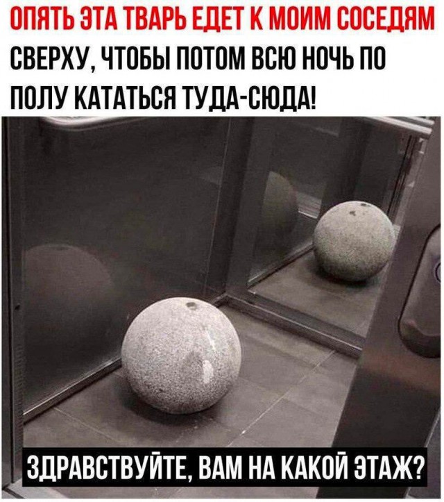 Забавные комментарии из социальных сетей (03.04.23)