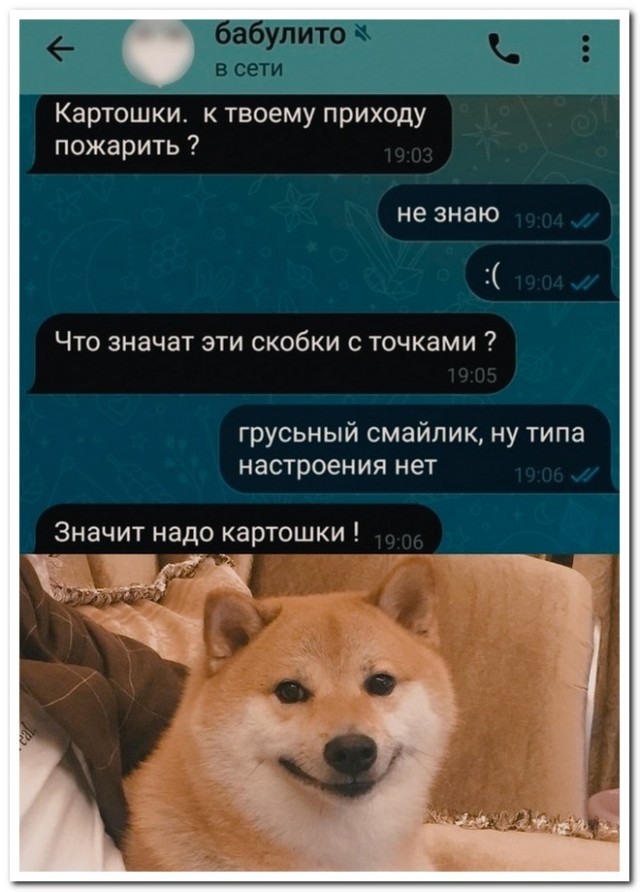 Забавные комментарии из социальных сетей (20.11.23)