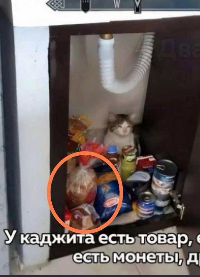 Выбирай⁠⁠