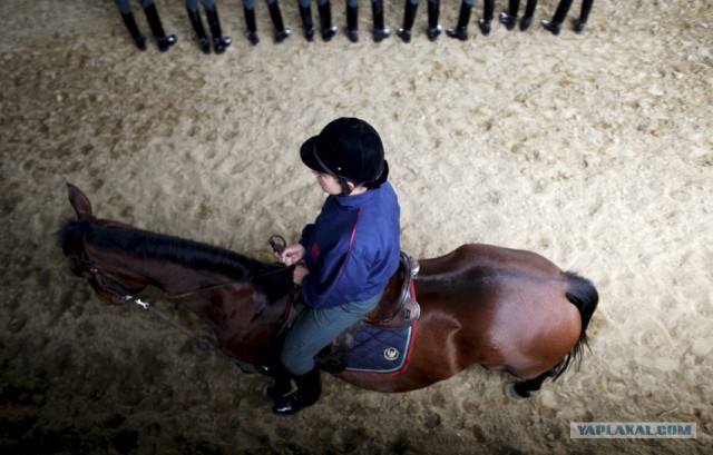 "А ну-ка девушки" по-колумбийски!