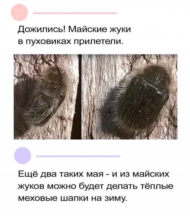 Завалялось тут случайно немного забавных картинок