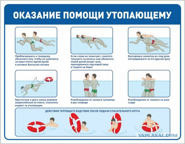 "Благодарное" быдло