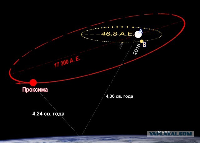 Конкурс «Космические грибы». Читаем рассказы и стихи