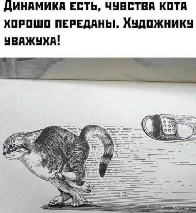 Картинки разные с надписями и без