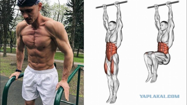 Винцо, пивко