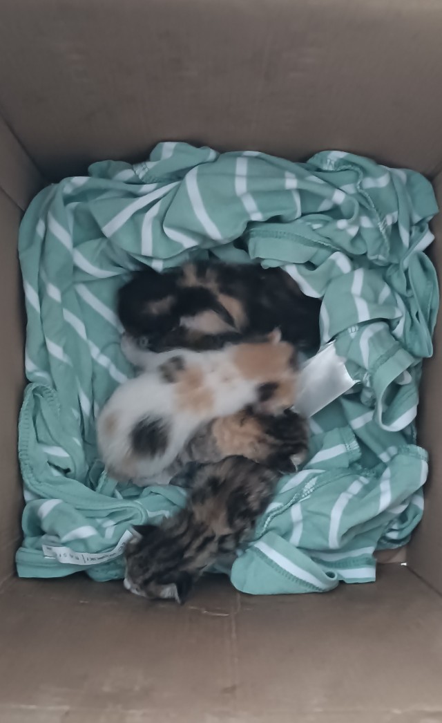 Снова рабство.