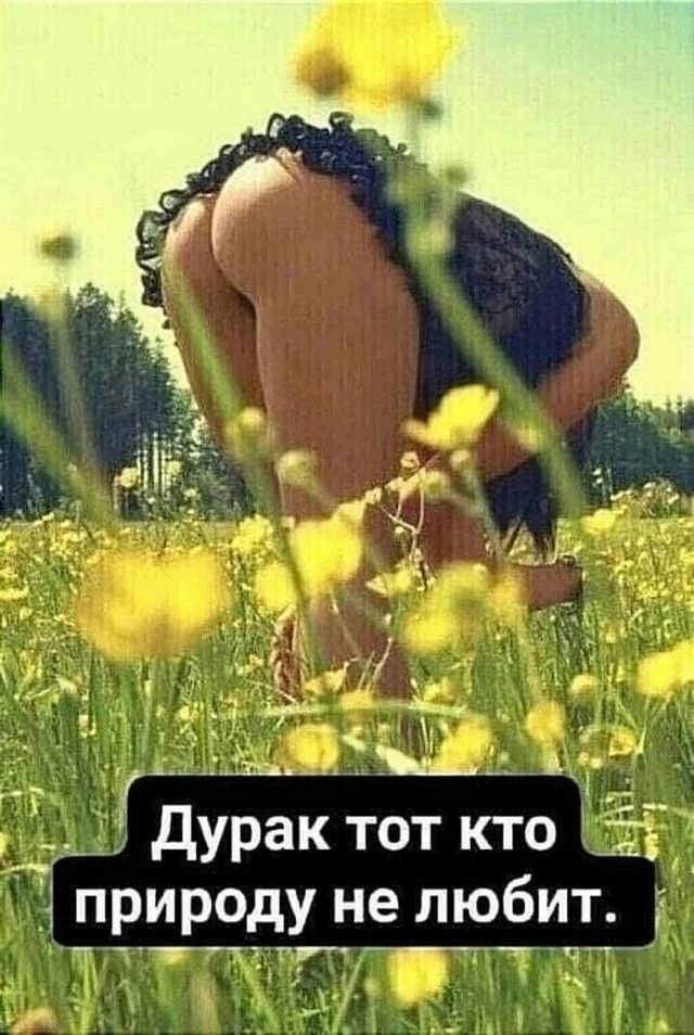 Пошлятина