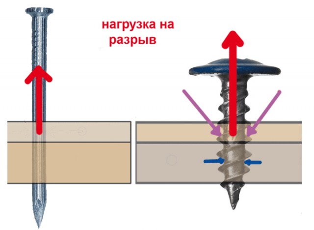 Почему в США пользуются гвоздями, а не саморезами: что они знают, чего не знаем 