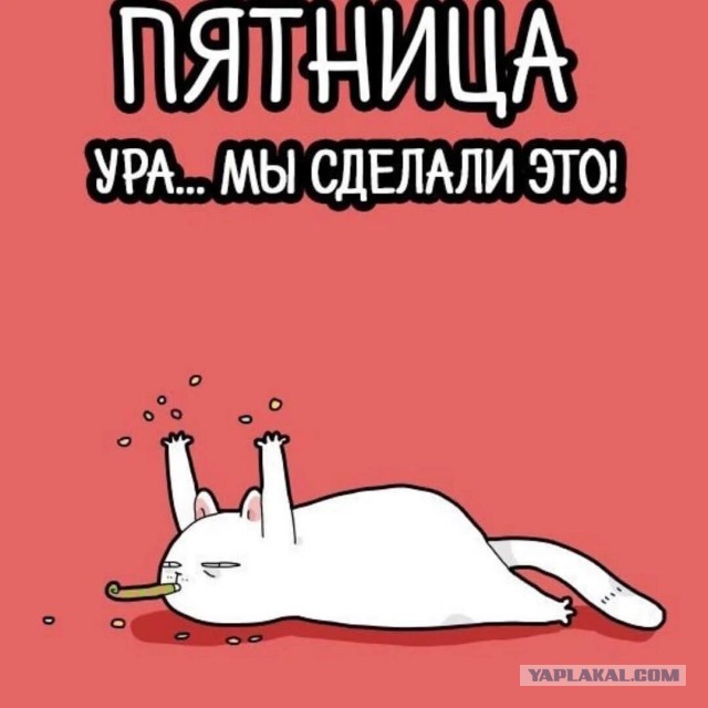 Пятничные картинки.