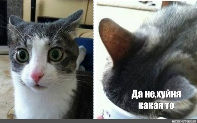 «Америка под угрозой, доллар по 50 — это фантастика».
