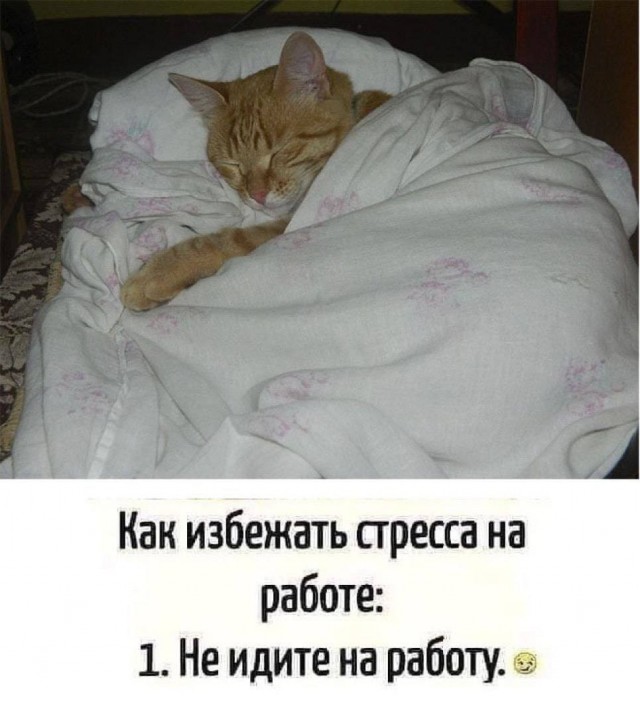 Всего понемногу. От 24.01.25