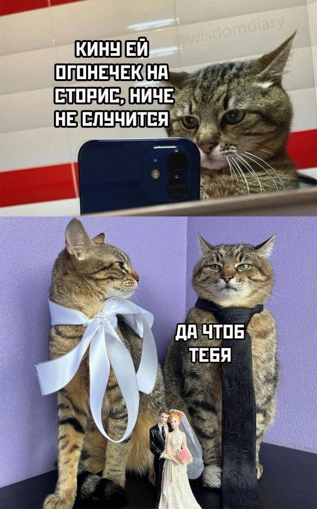 Так себе картинки 28.03.25
