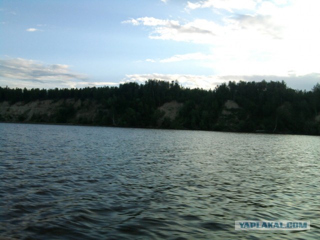 Красота! Лето на Ямале. Фото