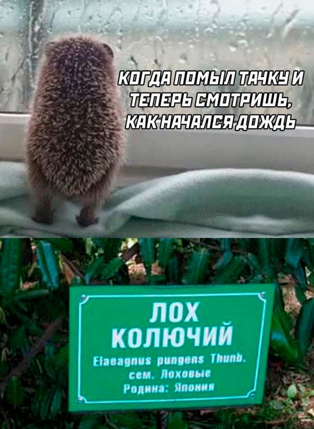Так себе картинки 12.05.25