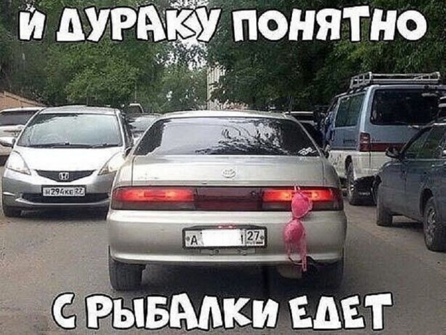 Так себе картинки 01.07.25