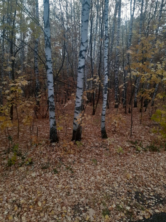 Техас готов к Хэллоуину