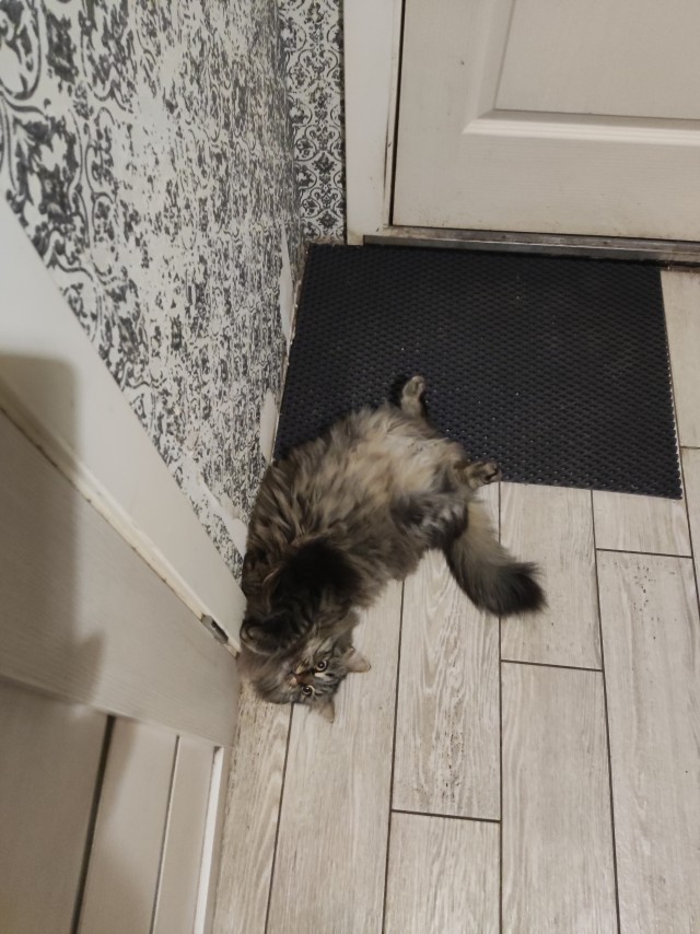 Ну начнемс ...!