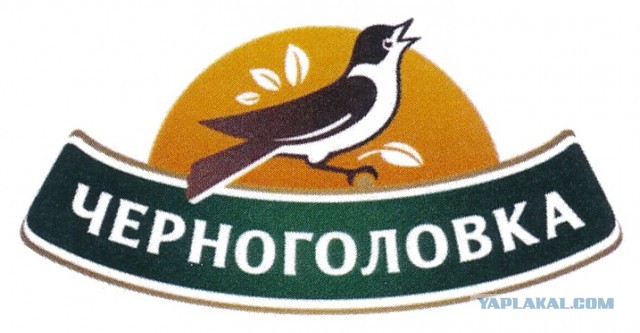 В московской школе ученик устроил показательный беспредел