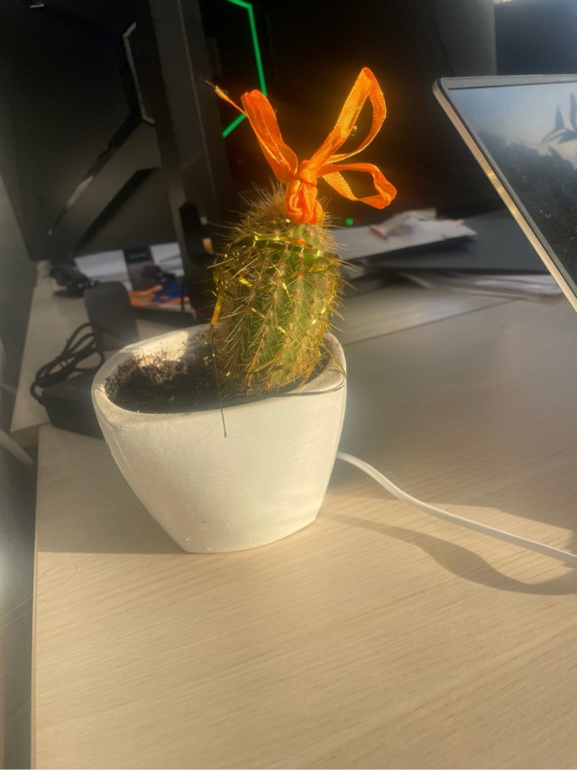 Не радость на Новый год!