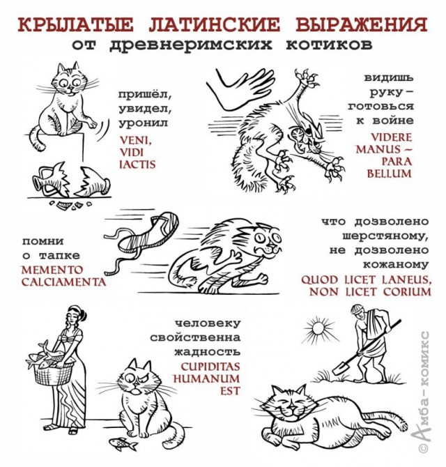 Всякой Хни вам в ленту, дорогие деграданты