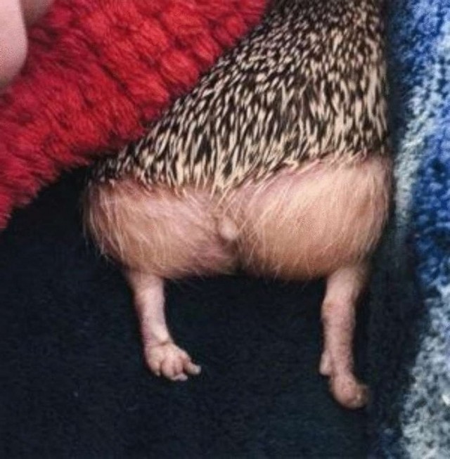 Злые вы