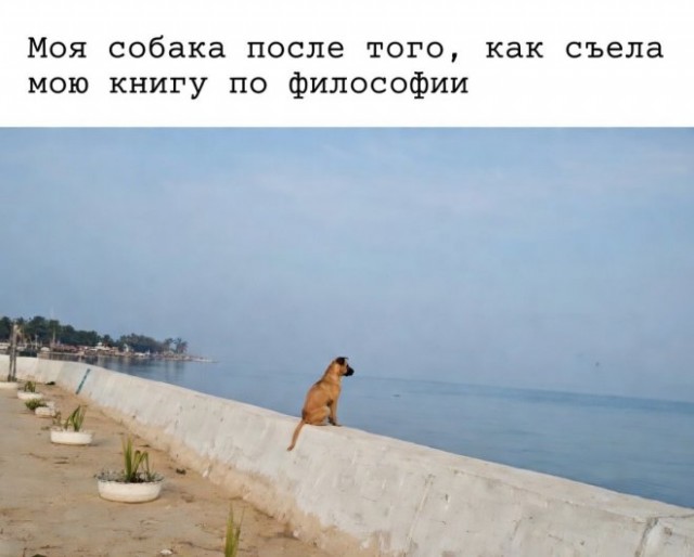 Картиночки, баянчики 18 марта