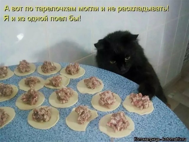 Спасли котейку