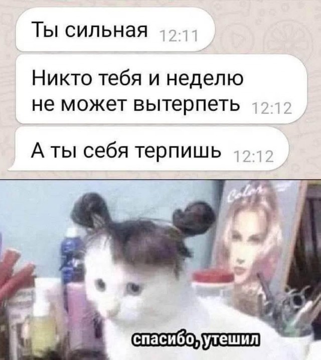 Картинки для деградации 186 (разной степени свежести)