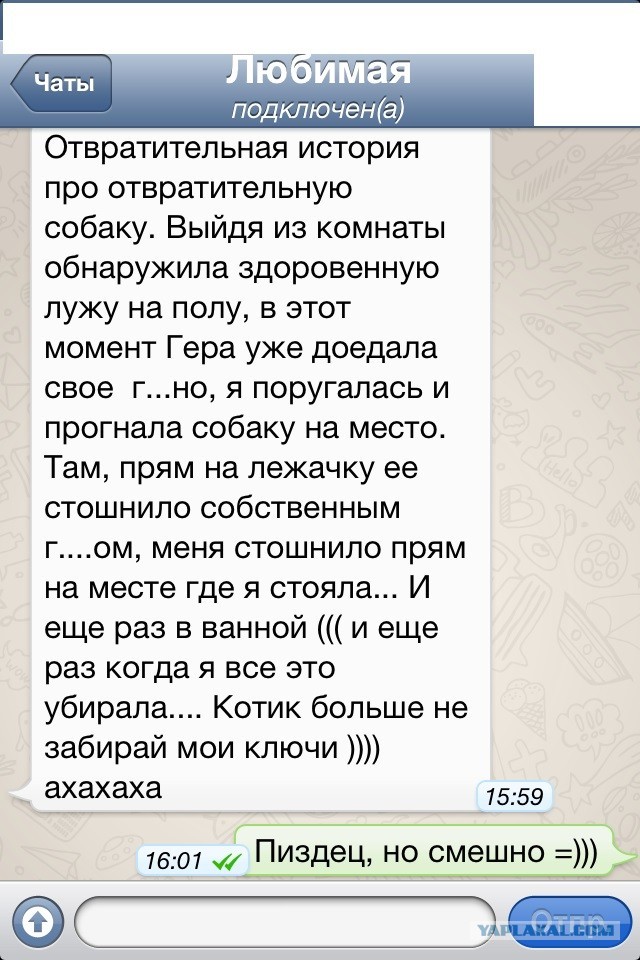 Отвратительная история про отвратительную собаку