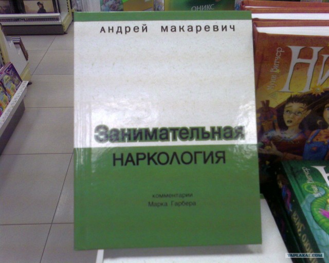 Что мы видим вокруг себя