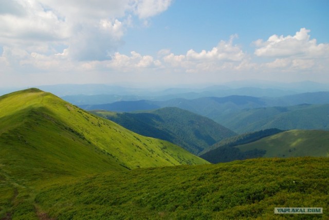 Тяжела работа макро-фотографа