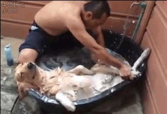 Собакен- ванну принимакен