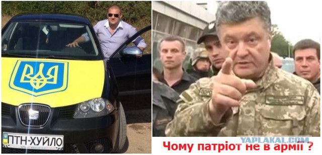 Майдан головного мозга