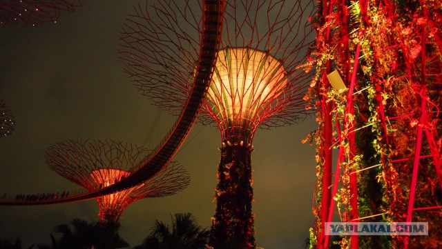 Сингапур. Гостиница "Марина Бэй"