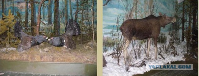 Всё больше аргументов в пользу существования Бога