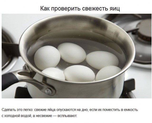 20 советов на все случаи жизни