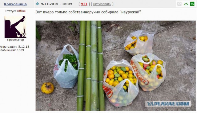 Всем кто думает что покупает абхазские мандарины