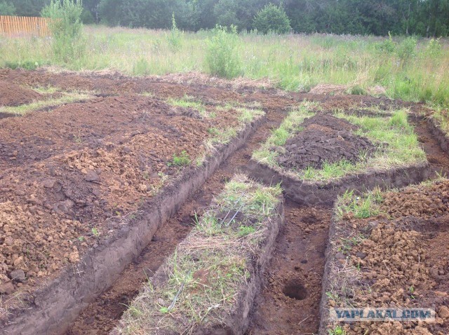Строительство дома на даче